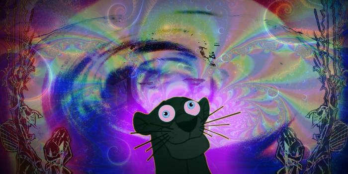 1920x1080 Acid Trip Wallpapers (67+ pictures)