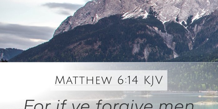 1080x1920 Matthew 6:14 KJV Mobile Phone Wallpaper - For if ye forgive men their  trespasses, your
