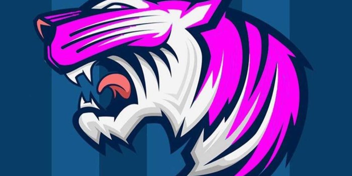 1080x1080 MrBeast Wallpaper - KoLPaPer - Awesome Free HD Wallpapers