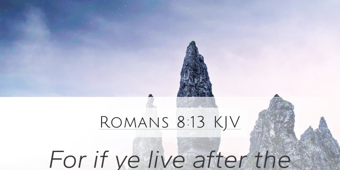 1080x1920 Romans 8:13 KJV Mobile Phone Wallpaper - For if ye live after the flesh, ye  shall die: but