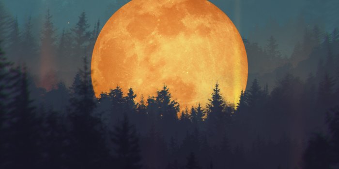 1280x1920 Yenba - Phone Wallpapers