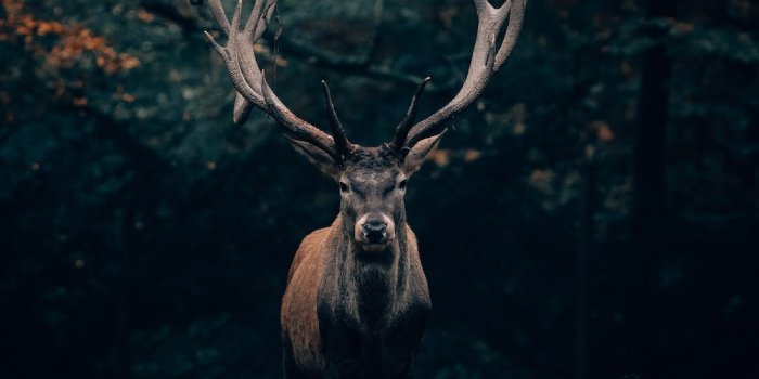 1000x1500 Best 500+ Unique Wallpapers | Download Free Images & Stock Photos On  Unsplash