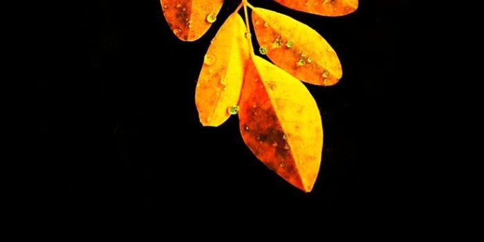 736x1594 Latest unique wallpaper | Unique wallpaper, Crazy wallpaper, Background  images wallpapers