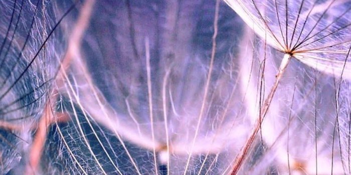 900x1600 Beautiful Unique Wallpapers - Top Free Beautiful Unique Backgrounds -  WallpaperAccess