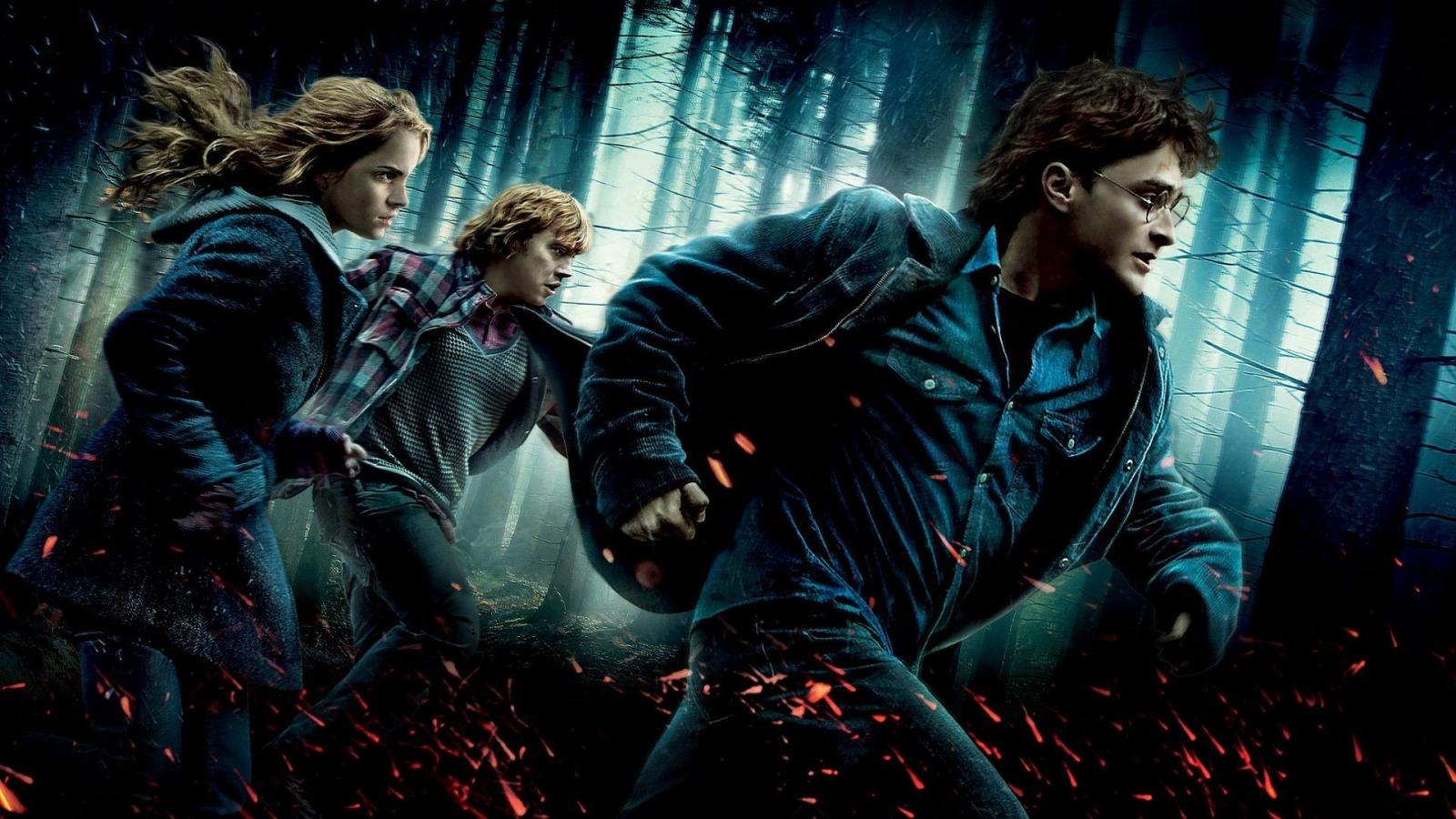1920x1080 HARRY POTTER DEATHLY HALLOWS t wallpaper | 1920x1080 | 102002 | WallpaperUP
