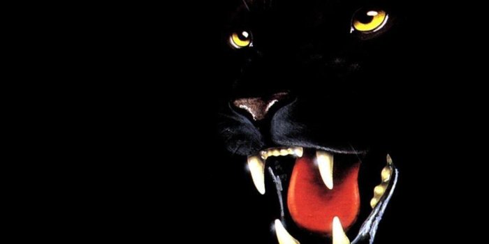 1280x1024 Unique.wallpapers