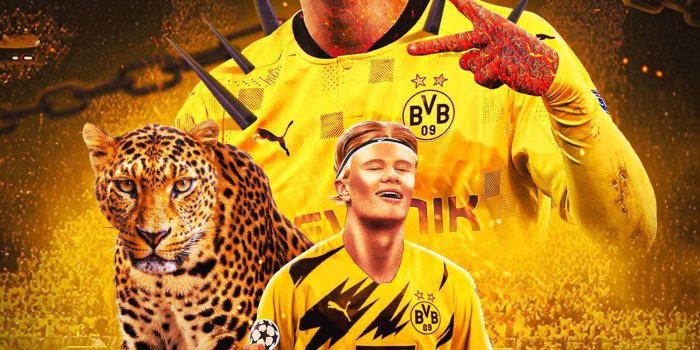 1600x2000 Download Erling Haaland Fan Artwork Wallpaper | Wallpapers.com