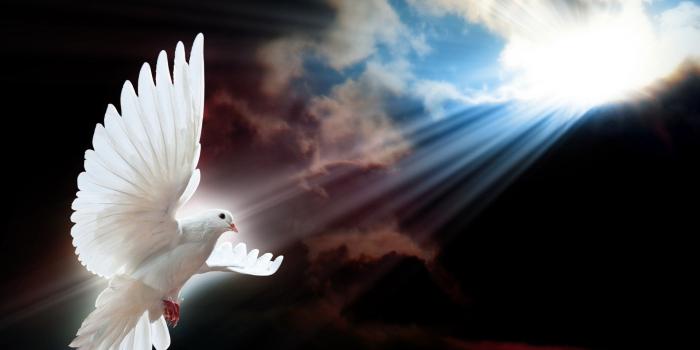 1920x1080 Holy Spirit Wallpapers - Top Free Holy Spirit Backgrounds - WallpaperAccess