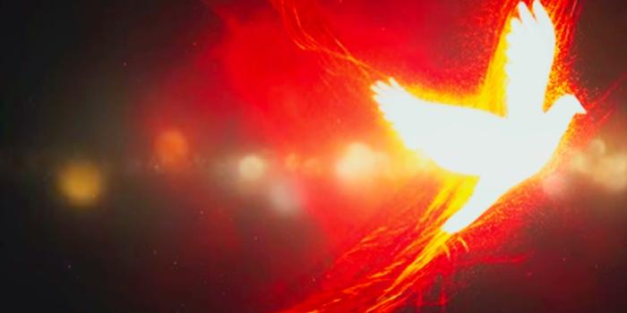 1280x720 Holy Spirit Outpouring - Live Wallpaper - Christian Animated background  wallpapers loops videos