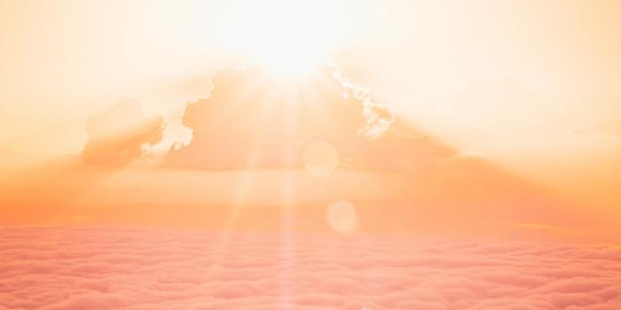 1000x1500 Holy Light Pictures | Download Free Images on Unsplash