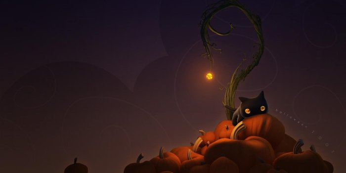 1920x1080 Cute İphone Halloween Wallpaper - EnJpg