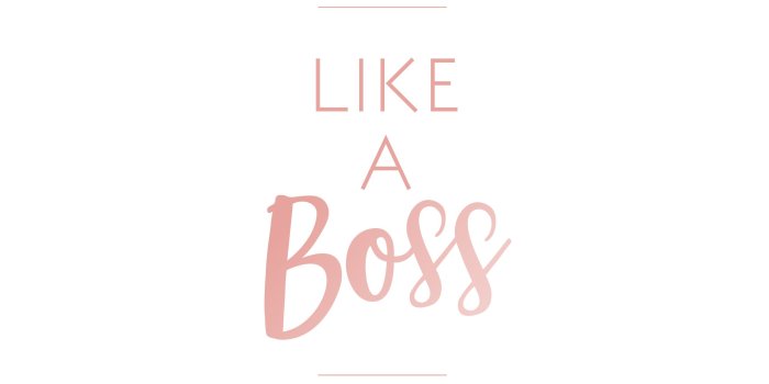 2560x1600 Work Like A Boss Wallpapers - Top Free Work Like A Boss Backgrounds -  WallpaperAccess