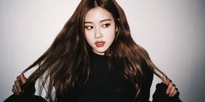 1280x720 Blackpink Rose Desktop Wallpapers - Top Free Blackpink Rose Desktop  Backgrounds - WallpaperAccess