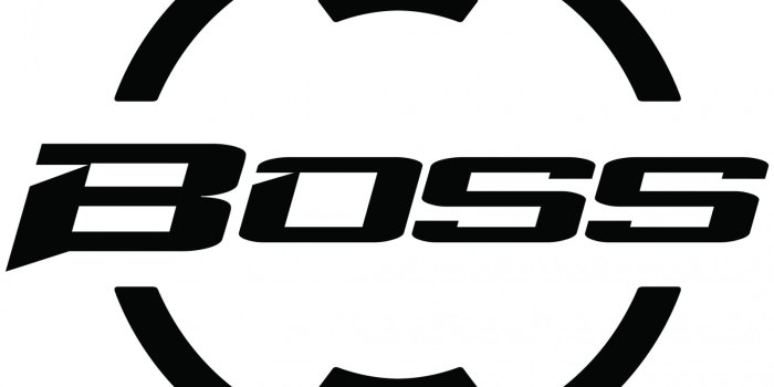 1600x1169 boss wallpaper,logo,text,trademark,symbol,emblem (#962497) - WallpaperUse