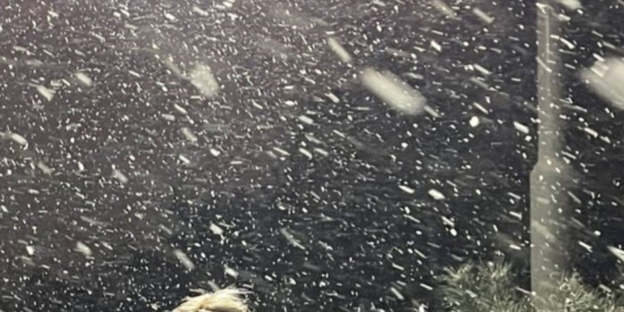 1016x1806 Blackpink Lockscreen — Rosé ig story