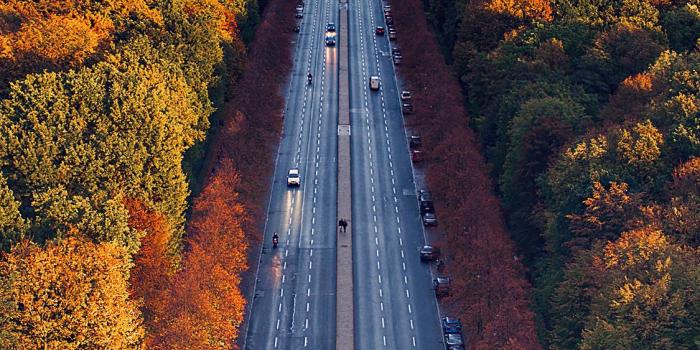 1125x2436 1125x2436 Berlin Houses Roads Trees Iphone XS,Iphone 10,Iphone X HD 4k  Wallpapers, Images, Backgrounds, Photos and Pictures