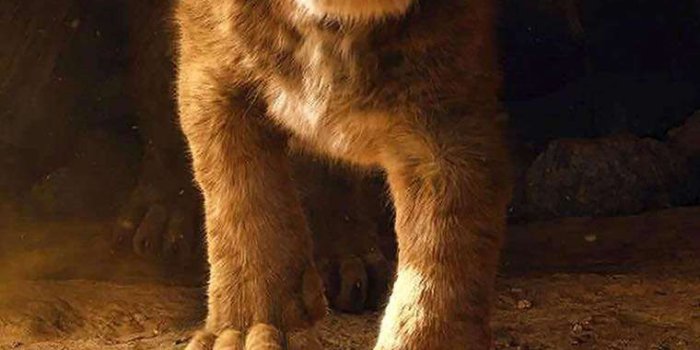 760x1350 The Lion King Simba iPhone Wallpaper - iPhone Wallpapers | Lion king  pictures, Lion king art, Lion wallpaper