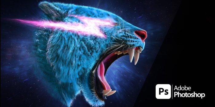 1280x720 MrBeast Logo | Speed Art