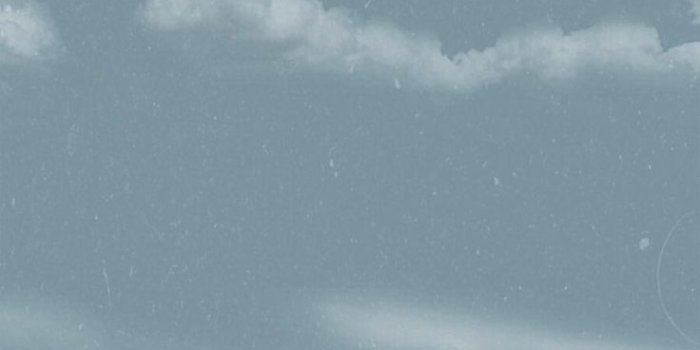 736x1308 Simba And Nala Wallpapers