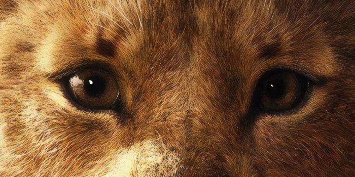 1080x2160 Download simba, the lion king, 2019 movie 1080x2160 wallpaper, honor 7x,  honor 9 lite, honor view 10, 1080x2160 hd image, background, 15495