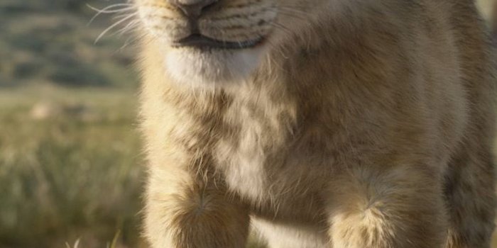 1280x2120 1280x2120 The Lion King Simba 4k iPhone 6+ HD 4k Wallpapers, Images,  Backgrounds, Photos and Pictures