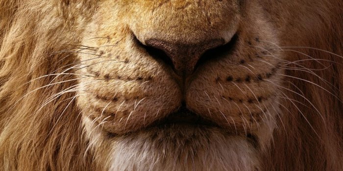 950x1689 Mufasa & Simba In The Lion King 4K Ultra HD Mobile Wallpaper