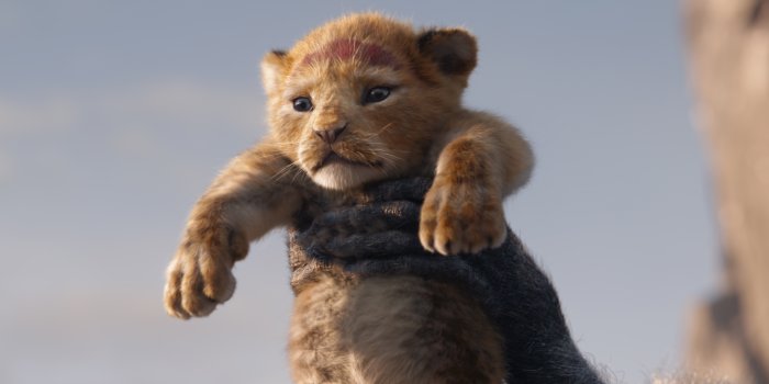 3840x2160 The Lion King 2019 Simba 4K Wallpaper #5