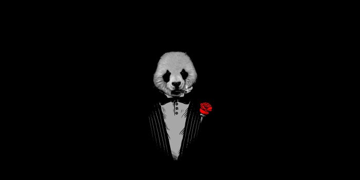 1920x1080 1920x1080 px black Panda The Godfather Abstract Photography HD Art #Black  #panda The Godfather 1920x10… | Art wallpaper, Black hd wallpaper, Panda  wallpaper iphone