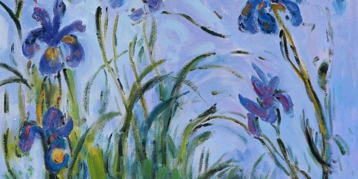 1284x2778 Best Claude monet iPhone HD Wallpapers - iLikeWallpaper