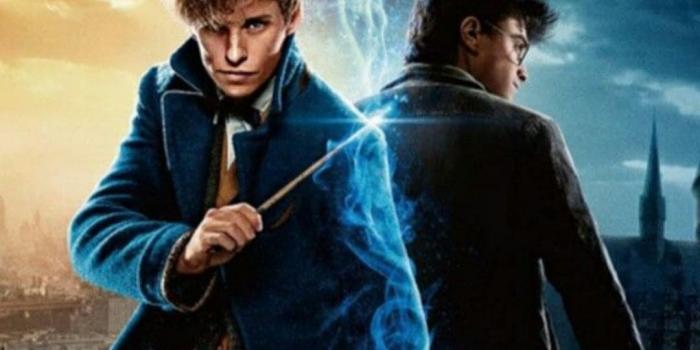 1080x2340 Top 35 Best Harry Potter iPhone Wallpapers - Gettywallpapers