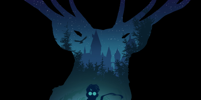 1205x2609 Harry Potter wallpaper HD