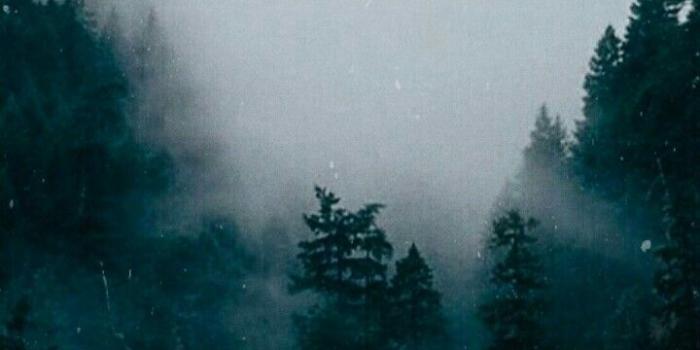 720x1280 Harry Potter iPhone 11 Wallpapers