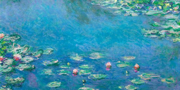 1200x675 Monet Water Lilies Flowers Images | Free Photos, PNG Stickers, Wallpapers &  Backgrounds - rawpixel