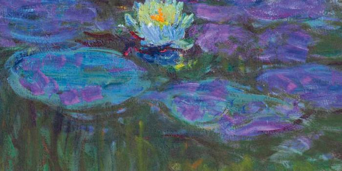 828x1792 Nymphéas en fleur by Monet Wallpaper | Wallaland