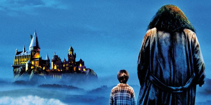 750x1334 750x1334 Harry Potter And The Sorcerers Stone iPhone 6, iPhone 6S, iPhone 7  HD 4k Wallpapers, Images, Backgrounds, Photos and Pictures