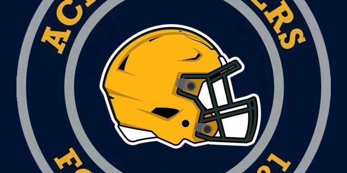 1242x2208 Acme Packers Wallpaper Fan Art NFL Helmet | Green bay packers art, Packers  football, Philadelphia eagles football