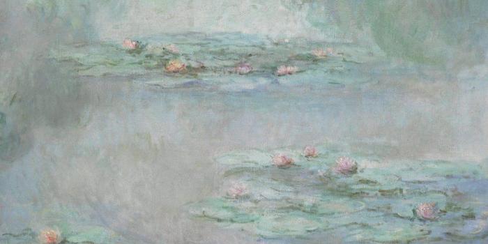 960x999 Monet 'Nymphéas' Unseen For 87 Years, Eyes $44.6 Million Sale, A Month  After $110.7 Million 'Meules'