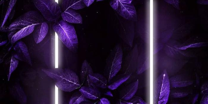 720x1280 Nature Neon Light Foliage Wallpaper - IPhone Wallpapers : iPhone Wallpapers