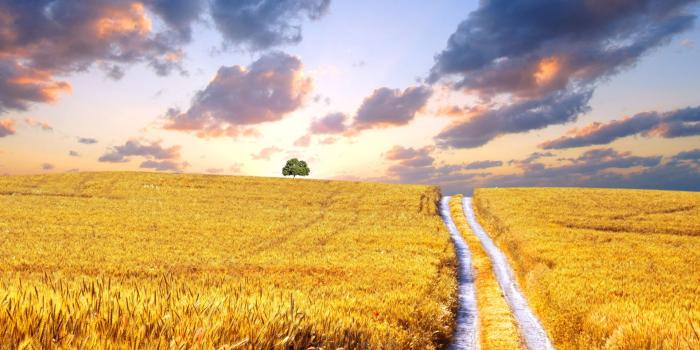 1920x1200 Ukraine Nature Wallpapers - Top Free Ukraine Nature Backgrounds -  WallpaperAccess