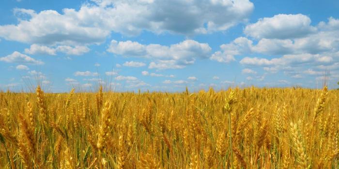 1920x1080 Ukraine Cool Wallpapers