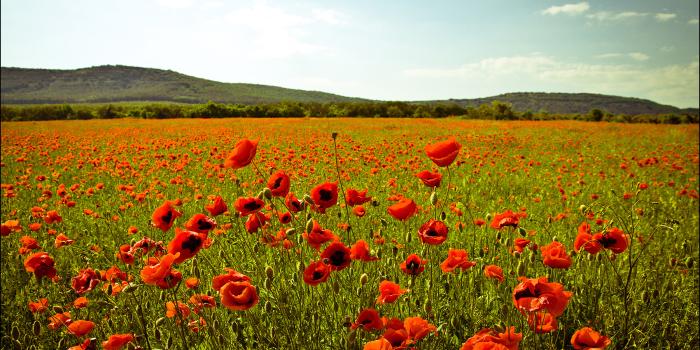 1800x1200 Beautiful set of wallpapers “Summer in Ukraine” · Ukraine travel blog