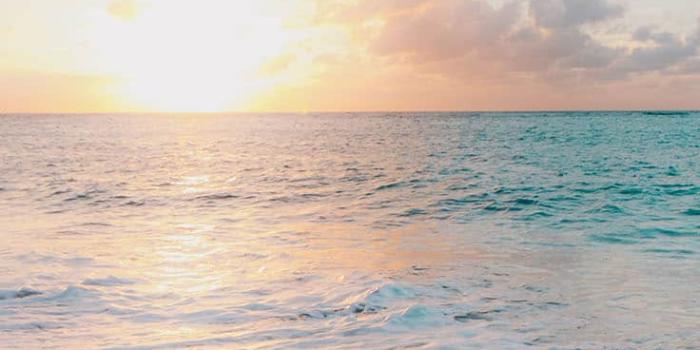 736x1308 Beach iPhone Wallpapers HD Quality - Best Beach Backgrounds