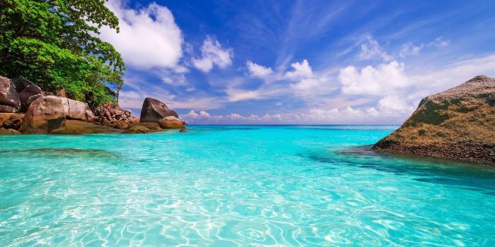 2560x1600 Beach Day Ultra HD Desktop Background Wallpaper for 4K UHD TV : Multi  Display, Dual Monitor : Tablet : Smartphone