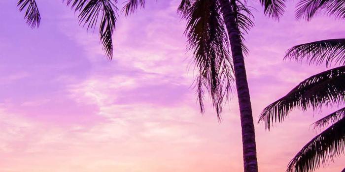 1152x2048 Evening Beach Scene mobile wallpaper | Beach scene wallpaper, Beach sunset  wallpaper, Beautiful nature pictures