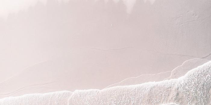 800x1422 Beach Images | Free HD Backgrounds, PNGs, Vectors & Templates - rawpixel