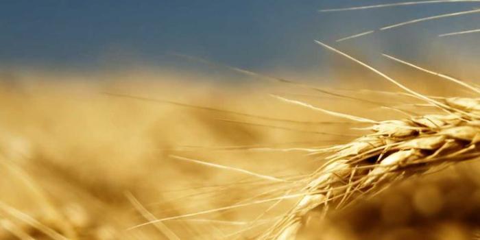 736x1593 Ukraine Wallpaper Discover more Belarus, Black Sea, Country In Europe,  Eastern Europe, Europe wallpapers. https://www.wptunn… in 2022 | Europe  wallpaper, Ukraine, Wallpaper