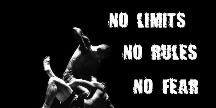 1280x960 Mixed Martial Arts Wallpapers - Top Free Mixed Martial Arts Backgrounds -  WallpaperAccess