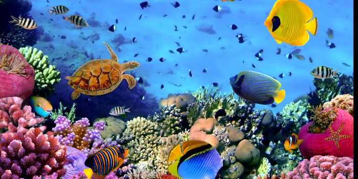 3840x2160 Aquarium Wallpapers