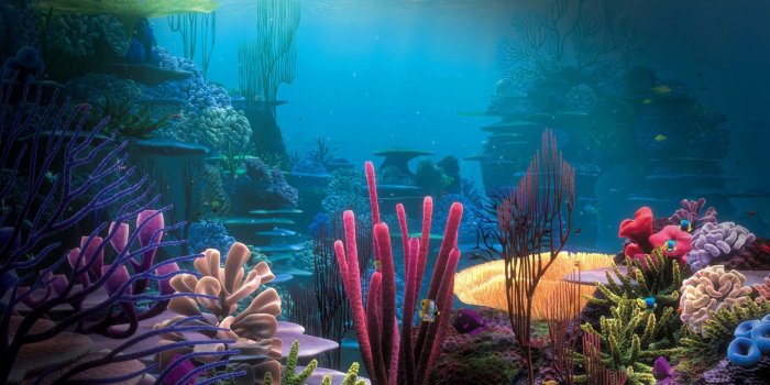 1920x1080 27 Aquarium Wallpapers - Wallpaperboat