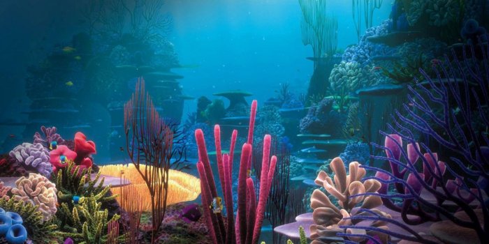 1280x800 Aquarium Wallpaper - Aquariums Wallpaper (40193618) - Fanpop
